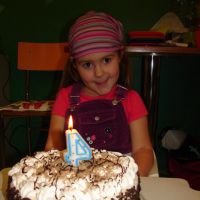 papamaci 2010.11.12